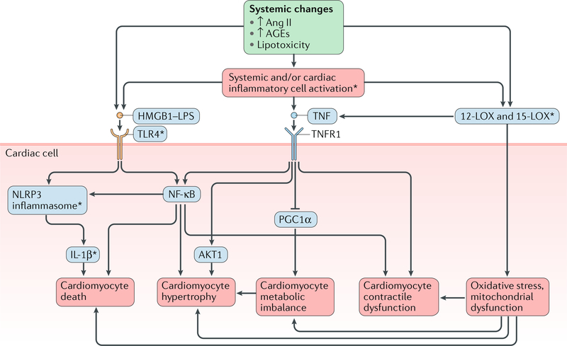 Fig. 3 |