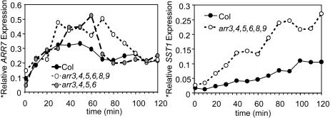 Figure 7.