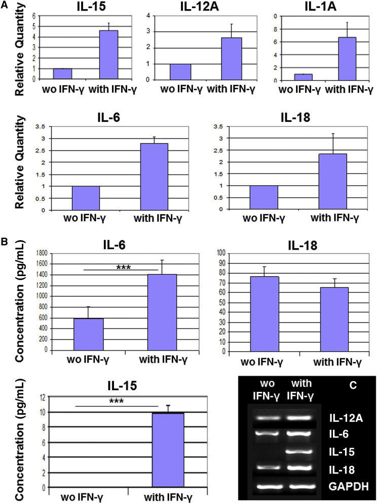 Figure 2