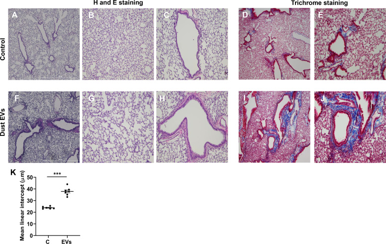 Fig. 11.