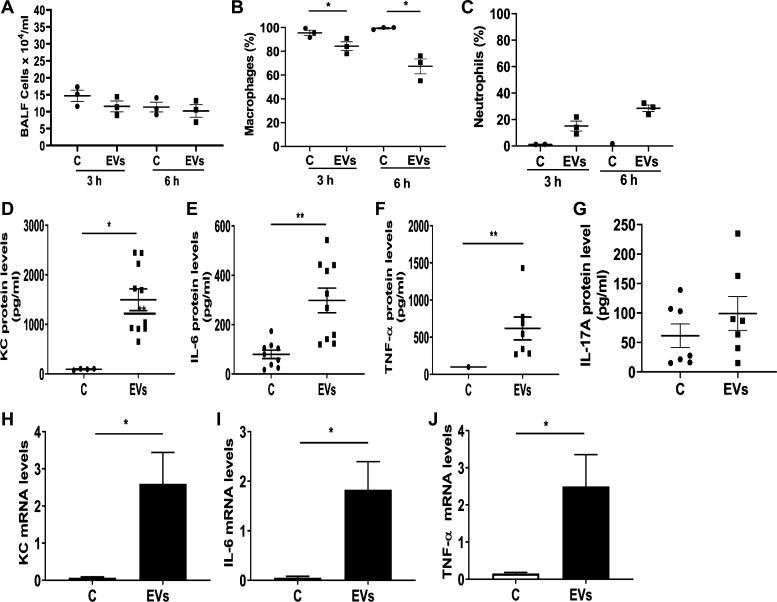 Fig. 9.