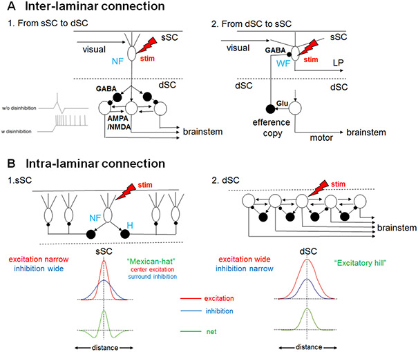 Figure 6: