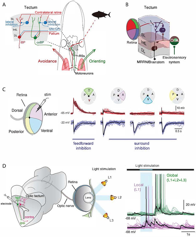 Figure 4: