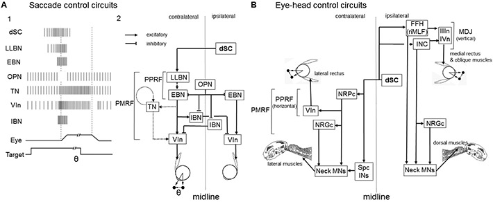 Figure 7: