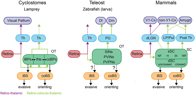 Figure 3: