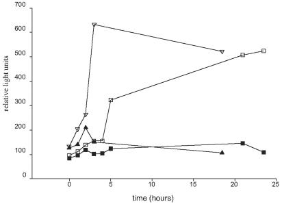 FIG. 1.