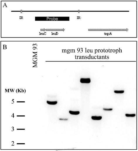 FIG. 5.