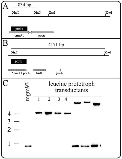 FIG. 4.