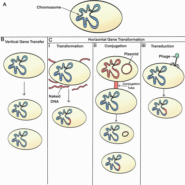 Figure 1.