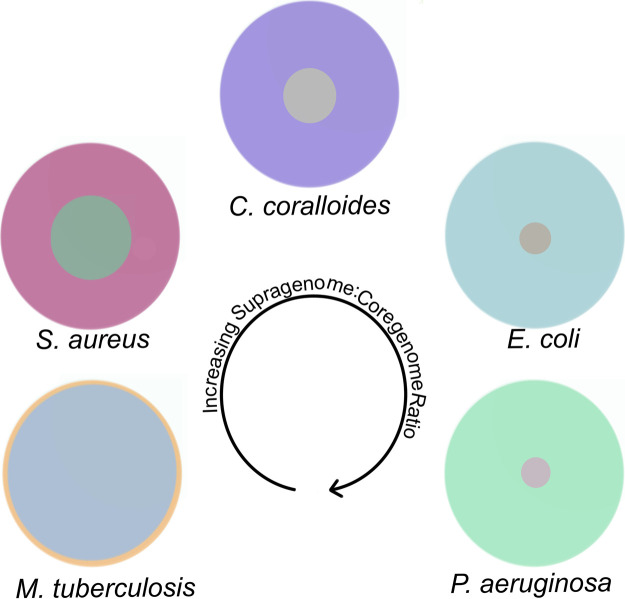 Figure 2.