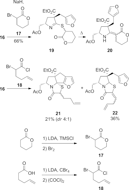 Scheme 4