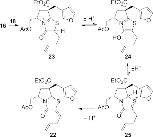 Scheme 5