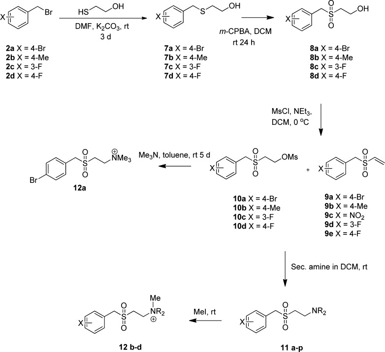 Scheme 2