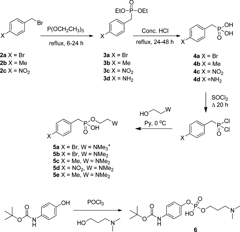 Scheme 1