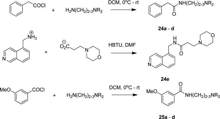 Scheme 5