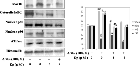 Fig. 6