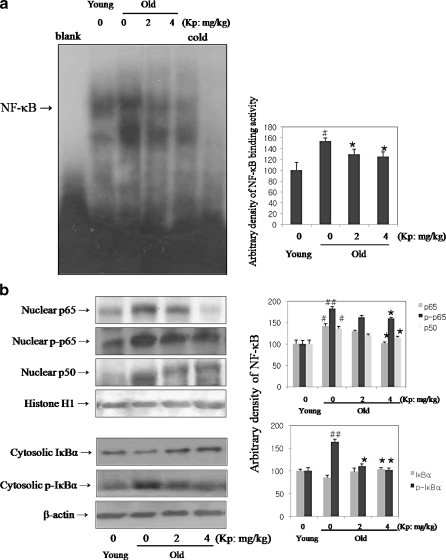 Fig. 3