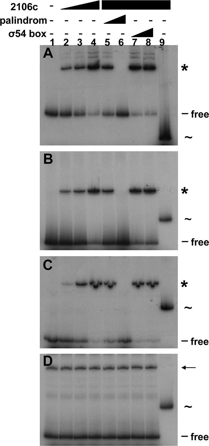 Fig. 5.