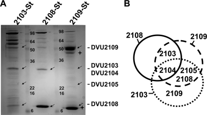 Fig. 8.