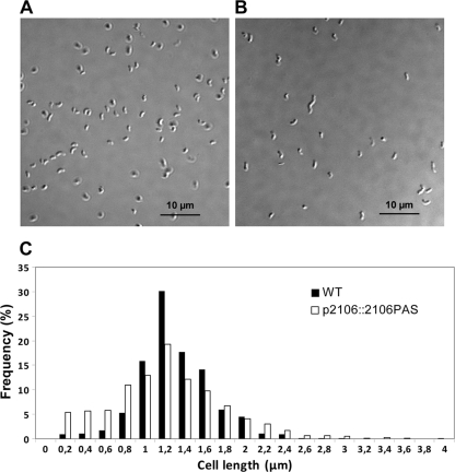 Fig. 9.