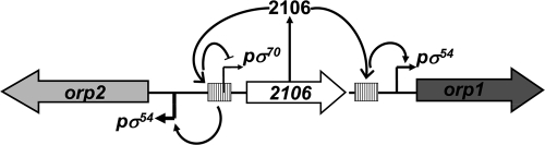 Fig. 10.