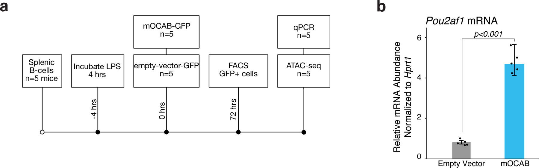 Extended data Figure 7