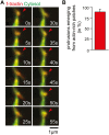 Figure 4—figure supplement 1.