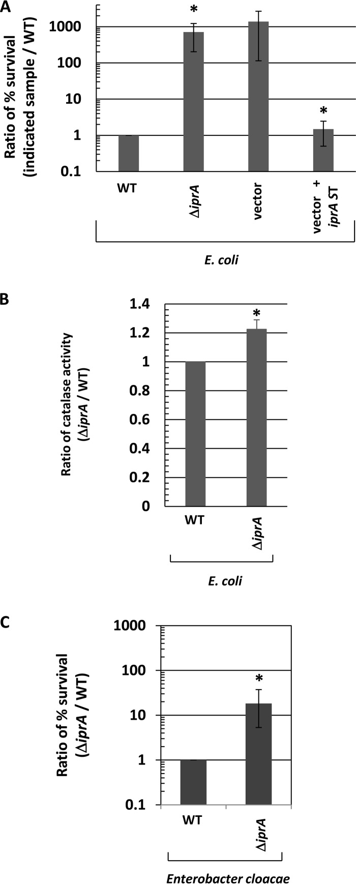 FIG 4