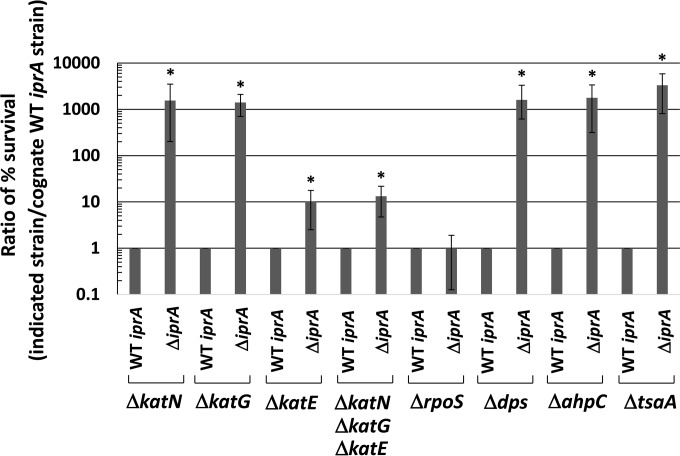 FIG 6