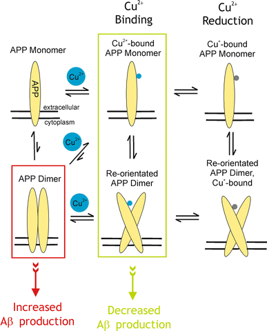 Fig. 7