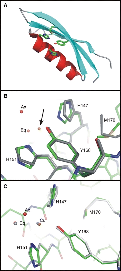 Fig. 2