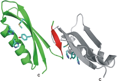 Fig. 6