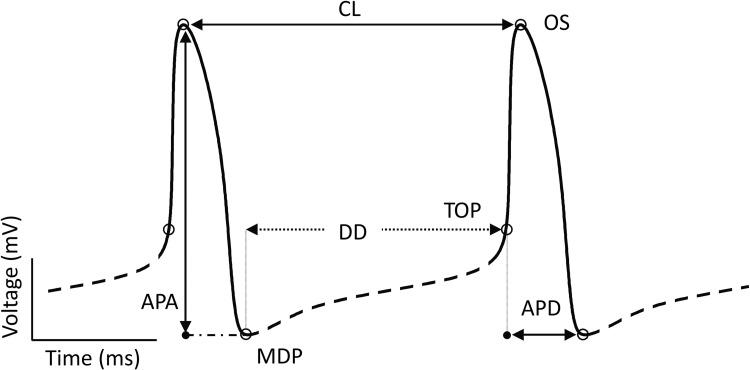 Fig 2