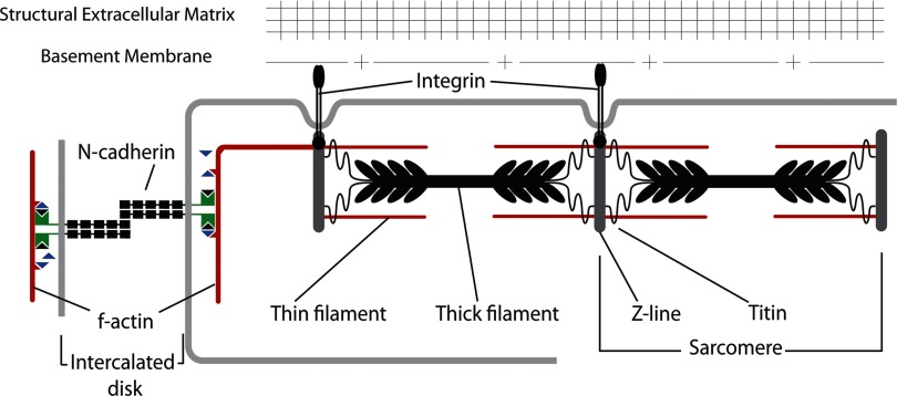 Fig. 1.