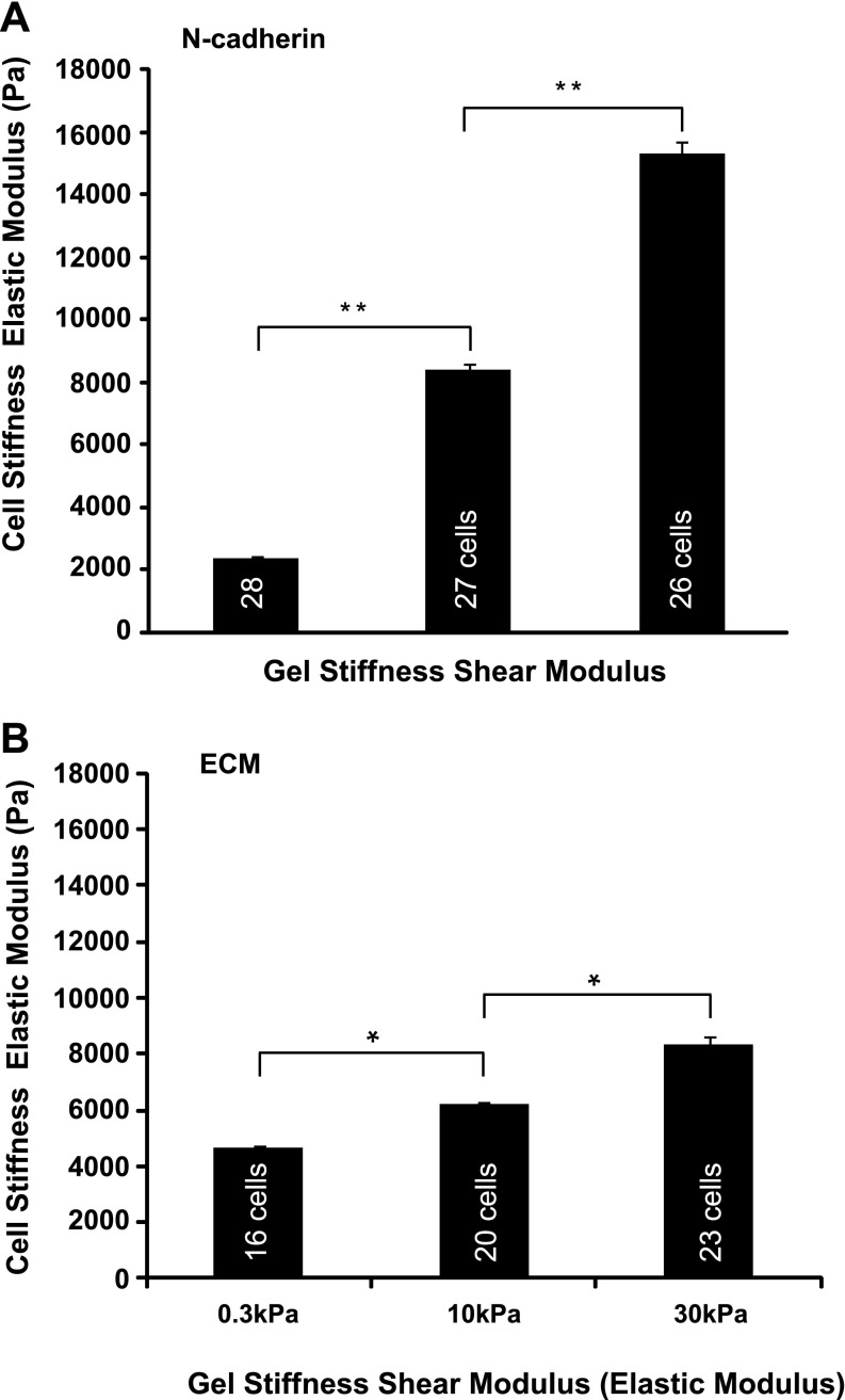 Fig. 8.