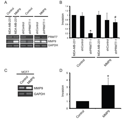 Figure 7