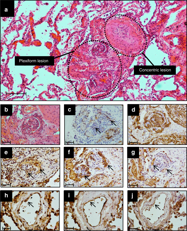 Fig. 9