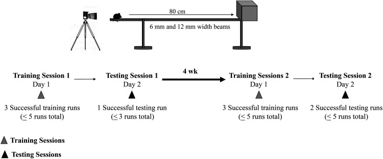 Figure 2.