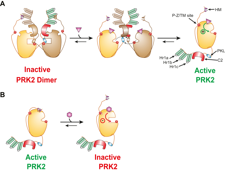 Figure 7