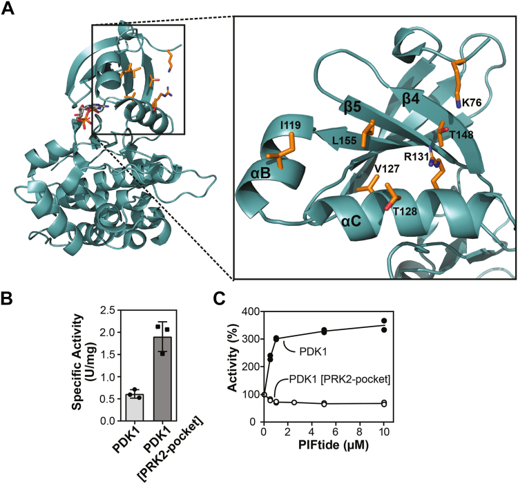 Figure 3