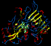 FIG. 2.