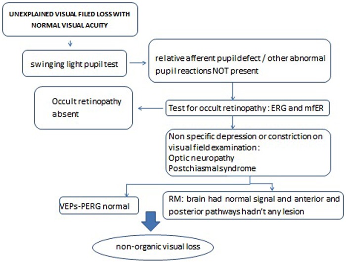 FIGURE 1