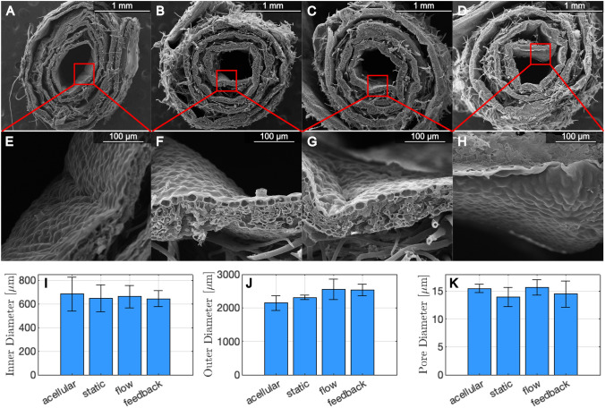 Fig. 6