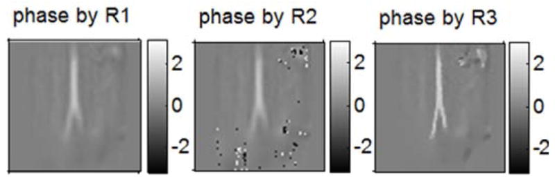 Fig. 8