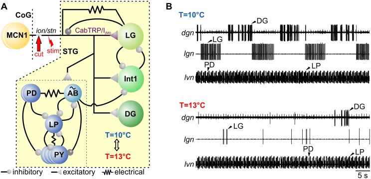 Fig 1