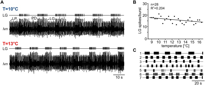 Fig 5