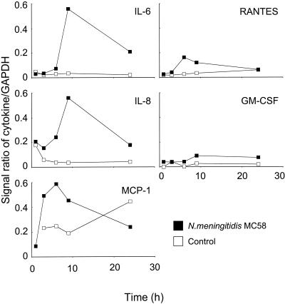 FIG. 1.