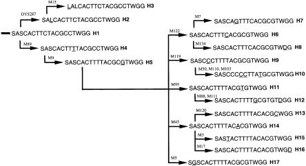 Figure  2