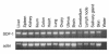 Figure 8