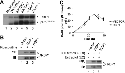 FIGURE 1.